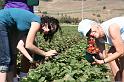 IMG_1843