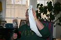 IMG_2014