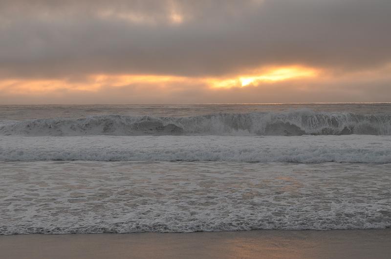 DSC_0910.JPG