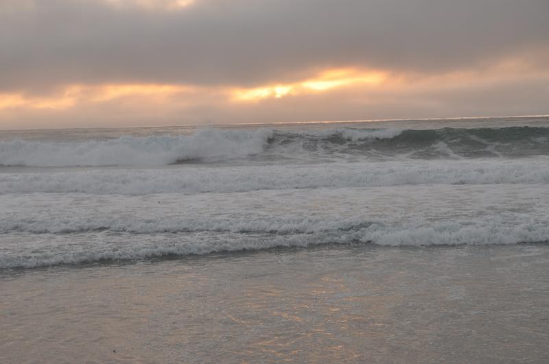 DSC_0914.JPG