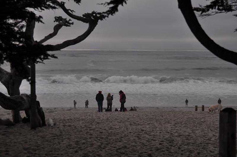 DSC_0919.JPG