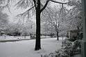 IMG_3900