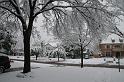 IMG_3903