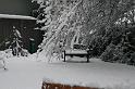 IMG_3947