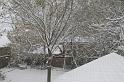 IMG_3963