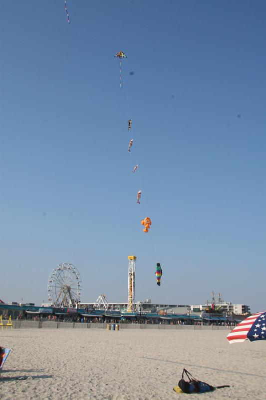IMG_4415.JPG