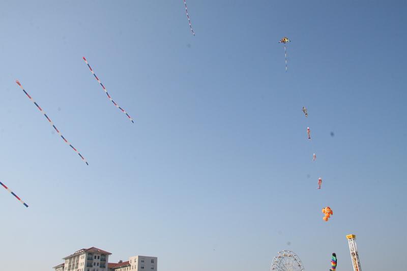 IMG_4416.JPG