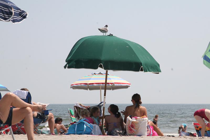 IMG_4425.JPG