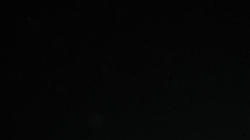 IMG_1948.JPG